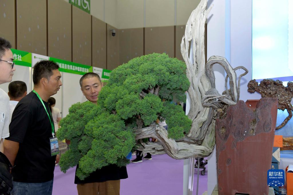 赌博评级导航